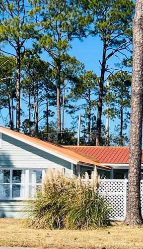 Cottage-style island home with red metal roof among tall pines