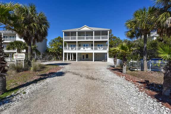 5 Palms - Image 1