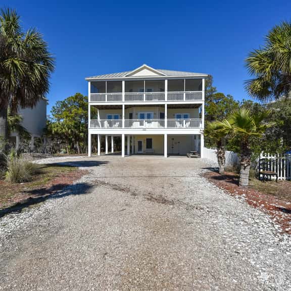5 Palms - Image 1